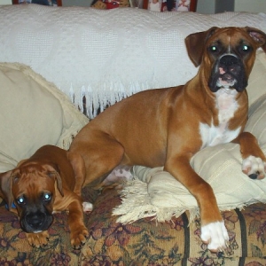 Rocky and Jackson