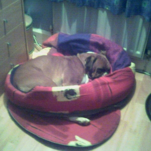 Very Comfortable!!