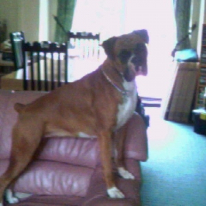 Amber taking over the house!