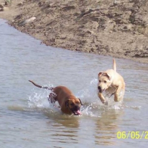 Water Games!