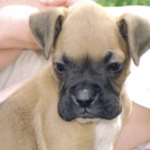 Lennox first day home