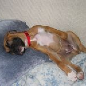 Oh so tired!