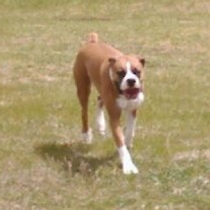 Ali_with_her_ball