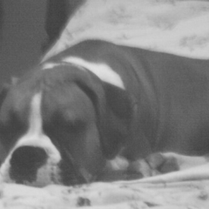 Ali_on_my_bed