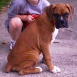 oscar at 14 weeks