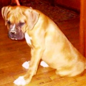 oscar at 12 weeks