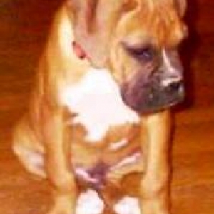 oscar at 12 weeks