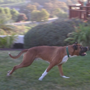 Plato in action!