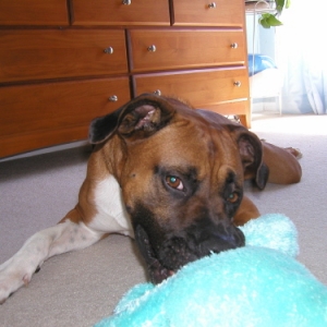 Hey, that's my toy!