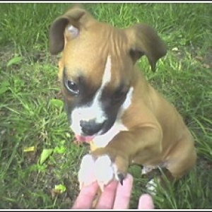 Give me five mamma