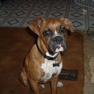 Picture_021