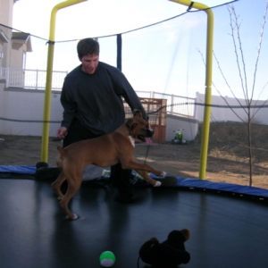 Jumping on tramp w/ tounge out