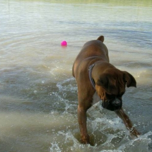 Splash, Splash!