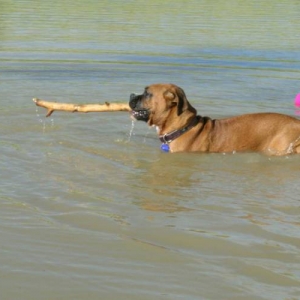 Got my stick!