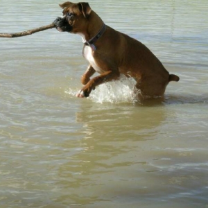 I got it!