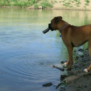 Looking over pond w/my stick