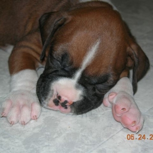 Lilo Sleeping