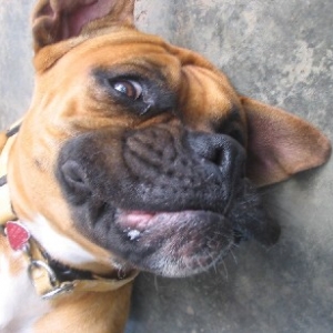 Happy Face