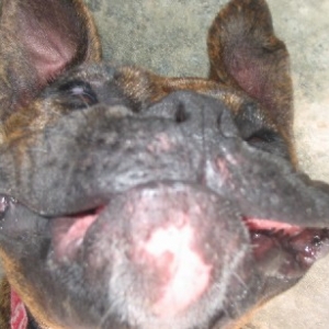 cheeeeessssseee