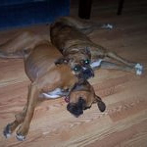 Best Friends!