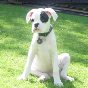 Finn 14 weeks