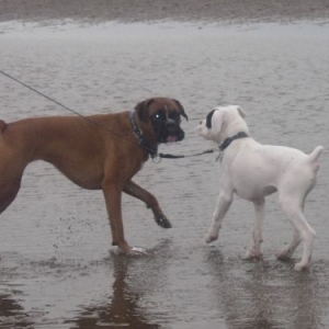 Star and Finn at the beach
