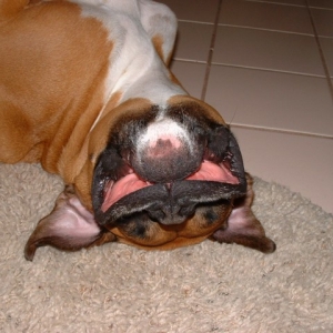 Turn that frown upside down!