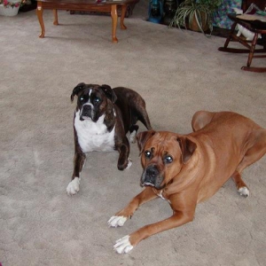 My two babies