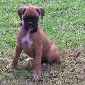 Roxy's First day Home