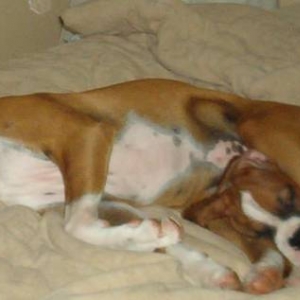 Snuggling???