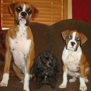 Family Photo