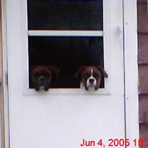 Can we come?