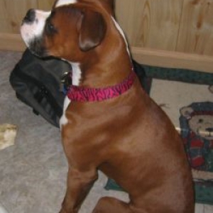 Profile