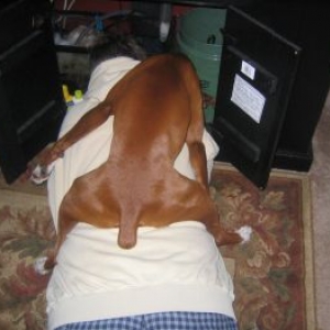 What are you doing dad?