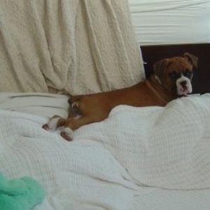 Chillin on Saturday Morning