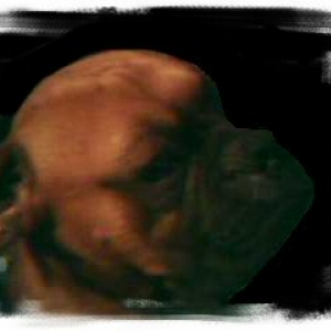 Rocky =]