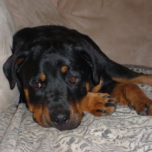Tired boy!