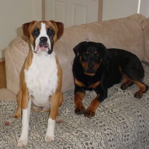 My boys