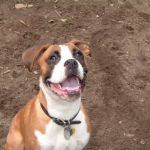 Smile!