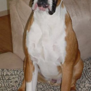 Tyson