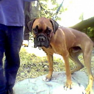 My New Baby Conner