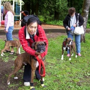 Boxer_picnic4a