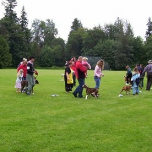 Boxer_picnic11a