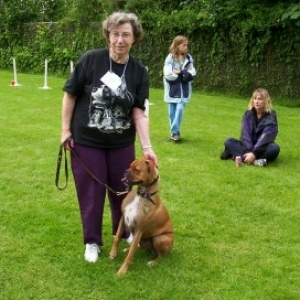 Boxer_picnic12a