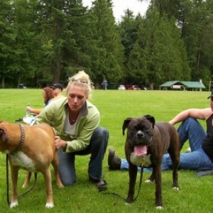 Boxer_picnic14a