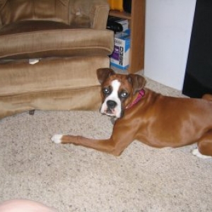 I can't get my ball!!!