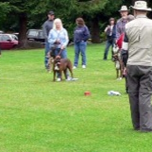 Boxer Picnic June 12, 2005