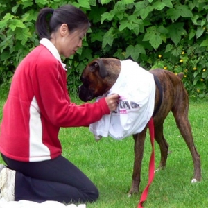 Boxer Picnic June 12, 2005