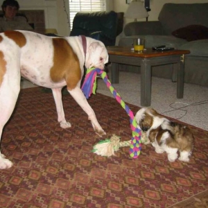 Greta & her new friend