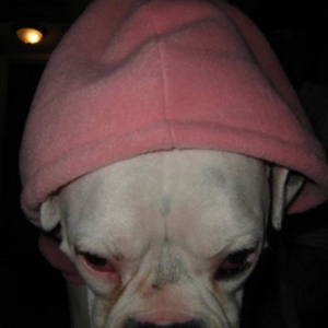Greta phone home?